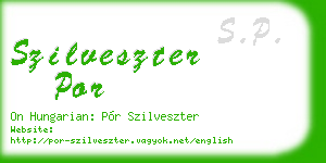szilveszter por business card
