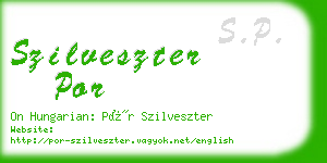 szilveszter por business card